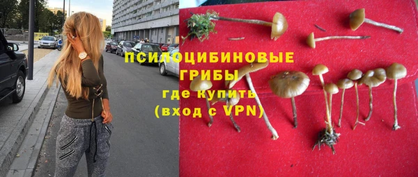 СК Заволжск