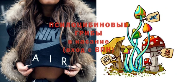 СК Заволжск