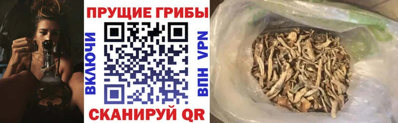 Купить  Кушва  Галлюциногенные грибы MAGIC MUSHROOMS 